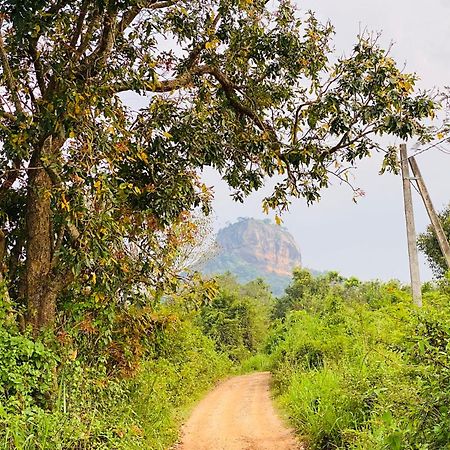 Hotel Sigiriya Kele Exteriör bild