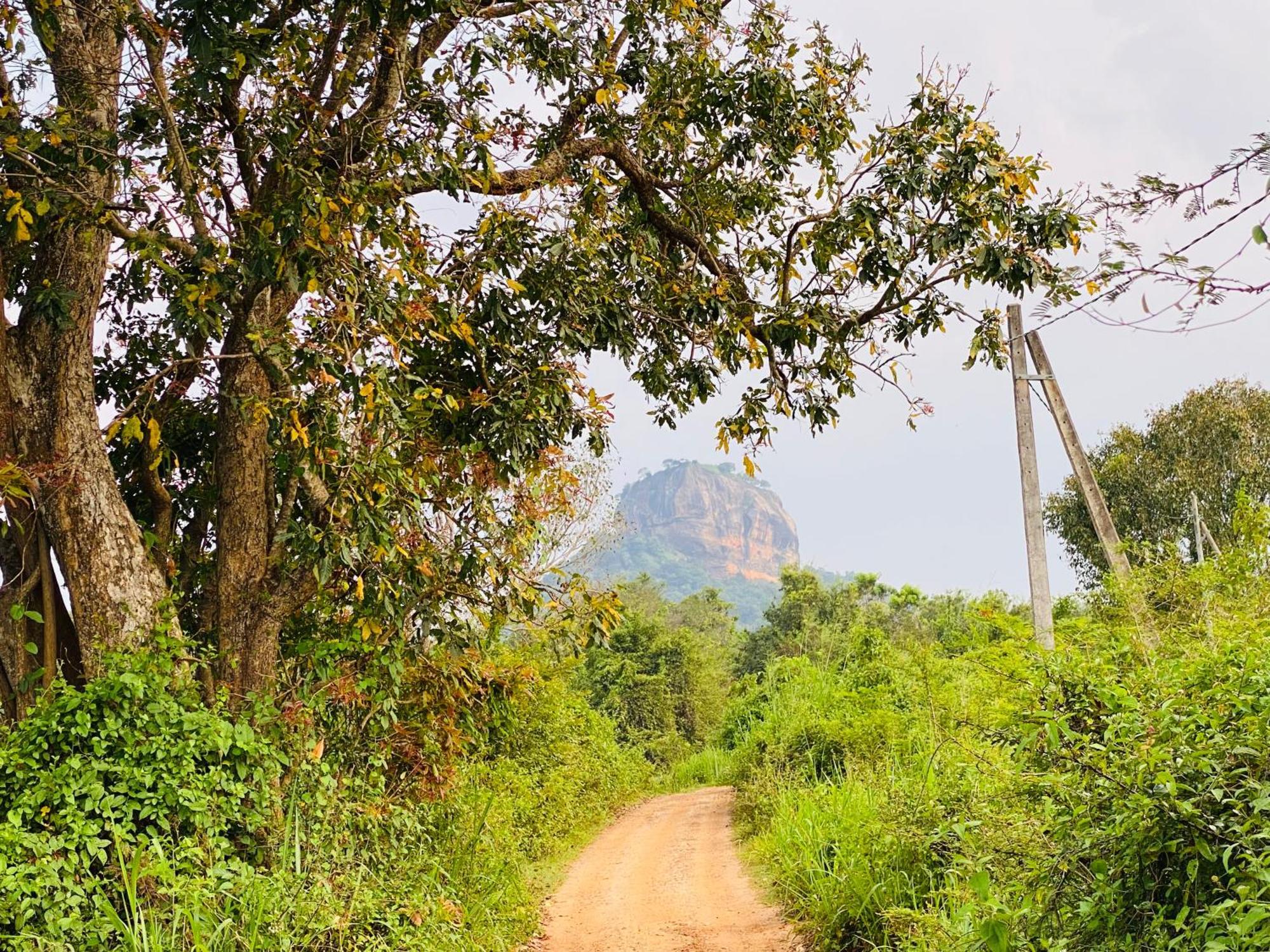 Hotel Sigiriya Kele Exteriör bild