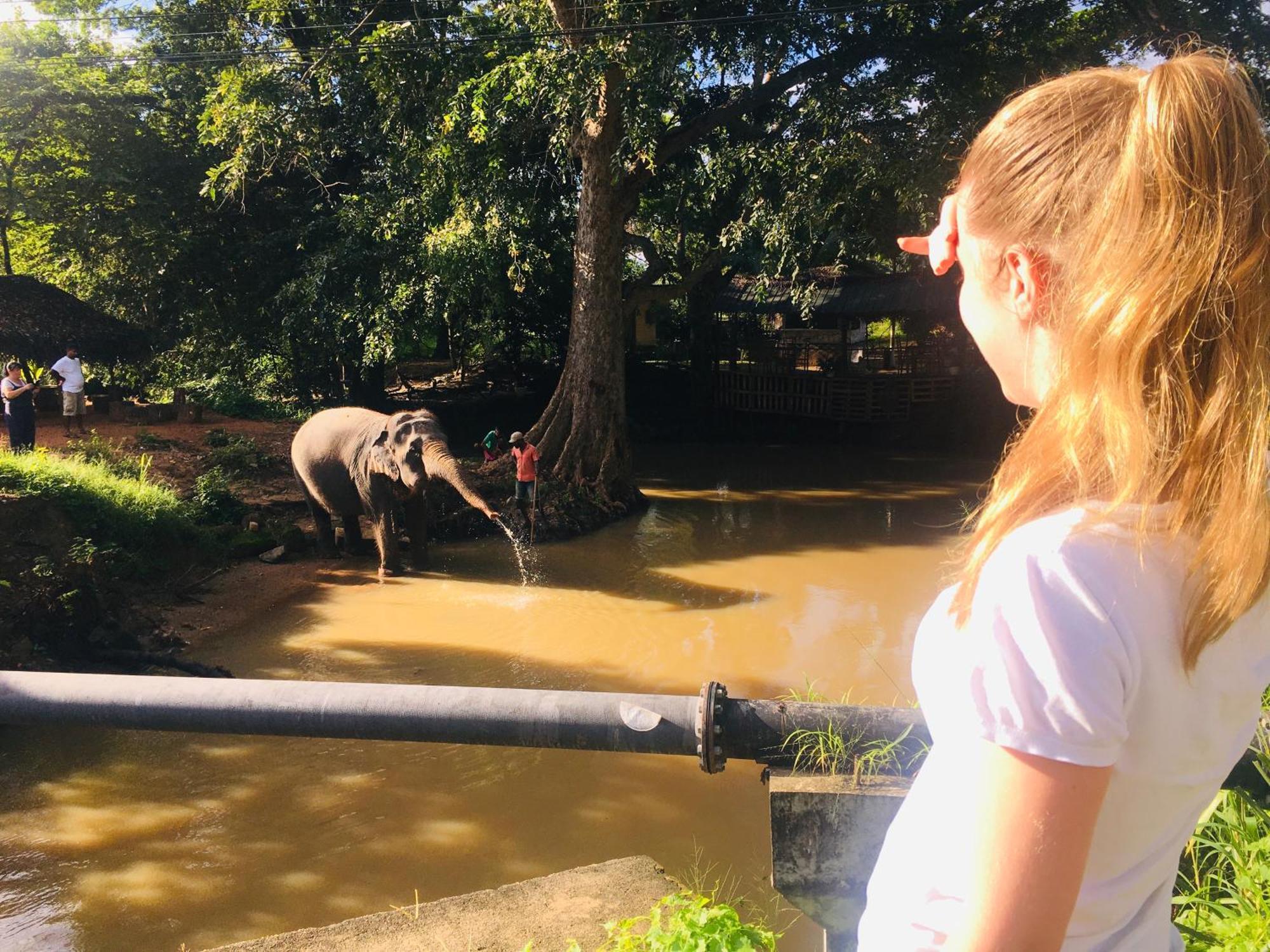 Hotel Sigiriya Kele Exteriör bild